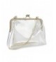 Louise Maelys Clear Transparent Clutch