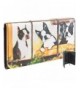 Boston Terriers Looking Window Checkbook