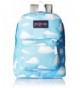 JanSport Unisex SuperBreak Partly Backpack
