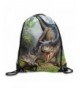 MCWO GRAY Drawstring Dinosaurs Lightweight