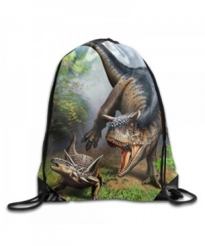 MCWO GRAY Drawstring Dinosaurs Lightweight