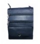 Silver Leather Pasport Travel Crossbody