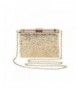 Womens Glitter Evening Crossbody Wedding